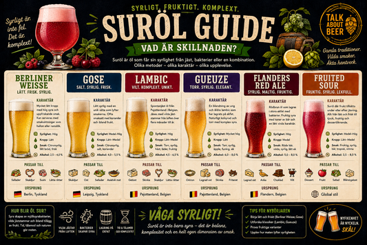 Sour Beer Guide — Sour Beer Style Poster (Digital Product 1)